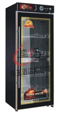 玻璃门玻璃门餐具消毒柜YTD288D喷涂臭氧餐具消毒柜